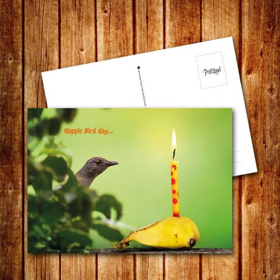 anisichtkaart, postcard, suriname, surinaams, uniek, verjaardagskaart, birthday card