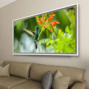 surinaamse digitale kunst<BR>Kolibri (180x120cm)