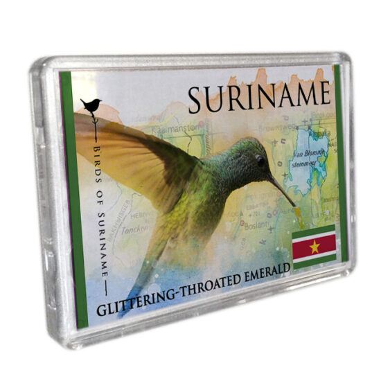 Magneet-Acrylic-Frame <BR> Kolibri
