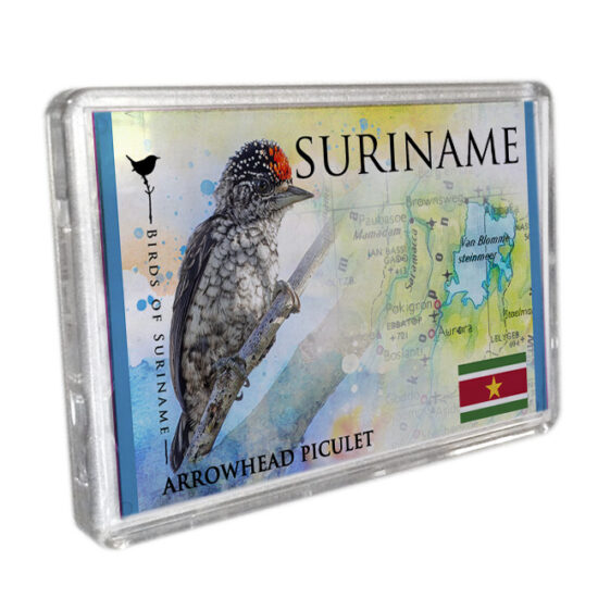 Magneet-Acrylic-Frame <BR> Piculet