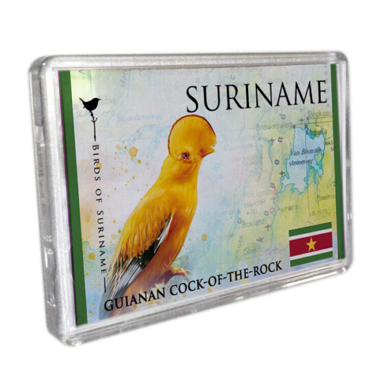 Magneet-Acrylic-Frame <BR>Rotshaan