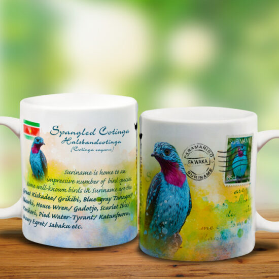 Mok_Su<BR>Spangled Cotinga